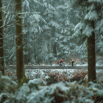 rowerzyści na zimowym szlaku